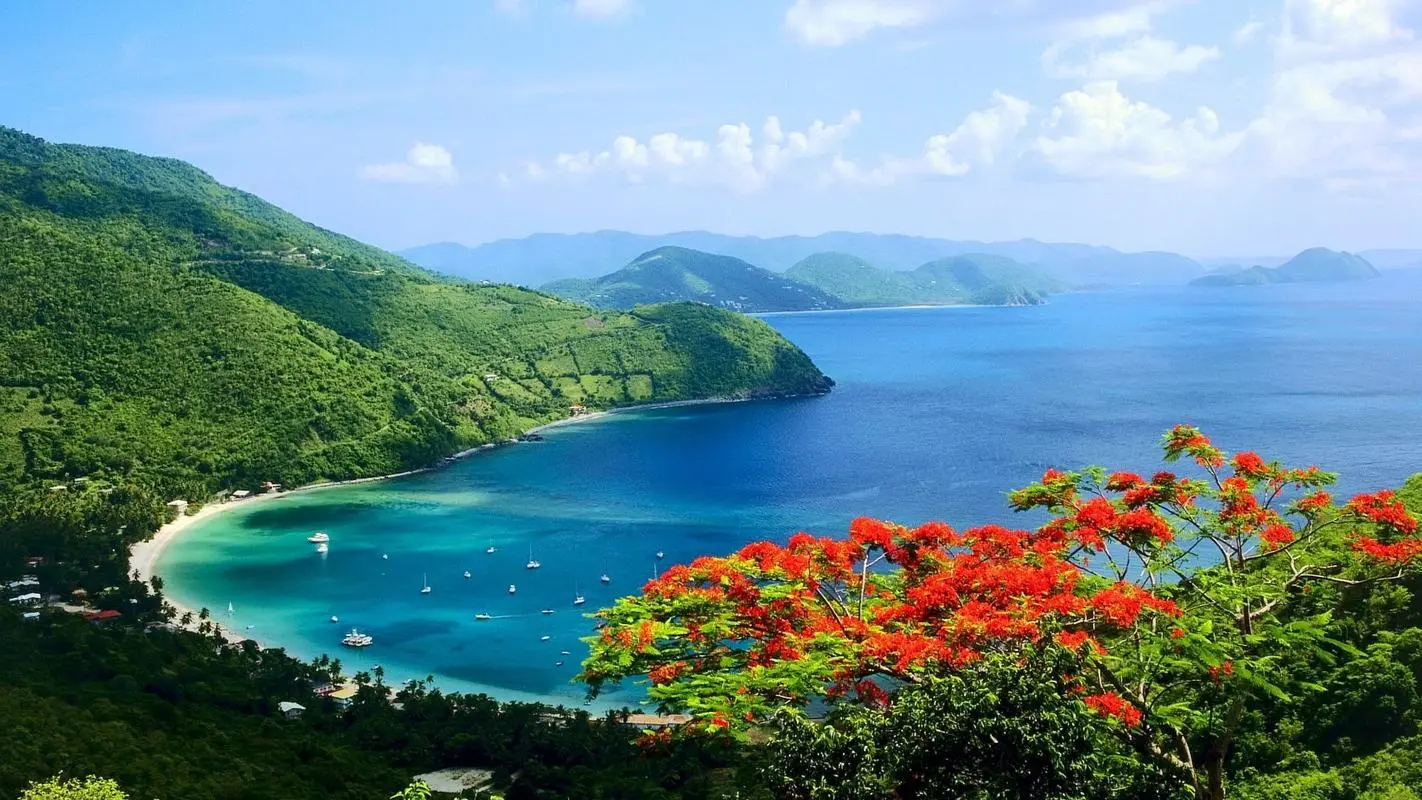 高标准高性能智能